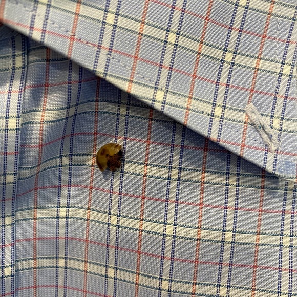 NORDSTROM MEN'S DRESS SHIRT - Picture 3 of 3